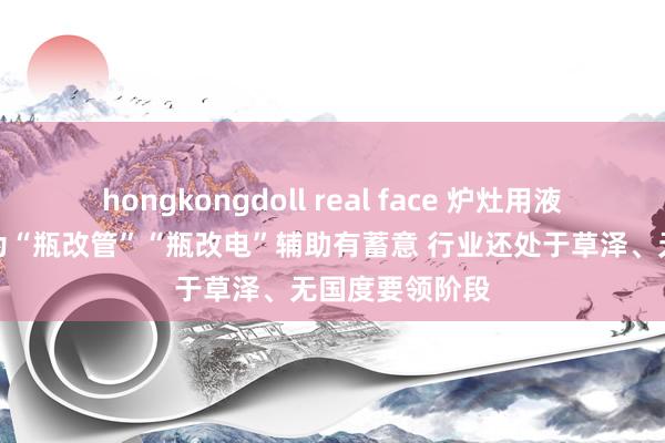 hongkongdoll real face 炉灶用液体燃料或可成为“瓶改管”“瓶改电”辅助有蓄意 行业还处于草泽、无国度要领阶段